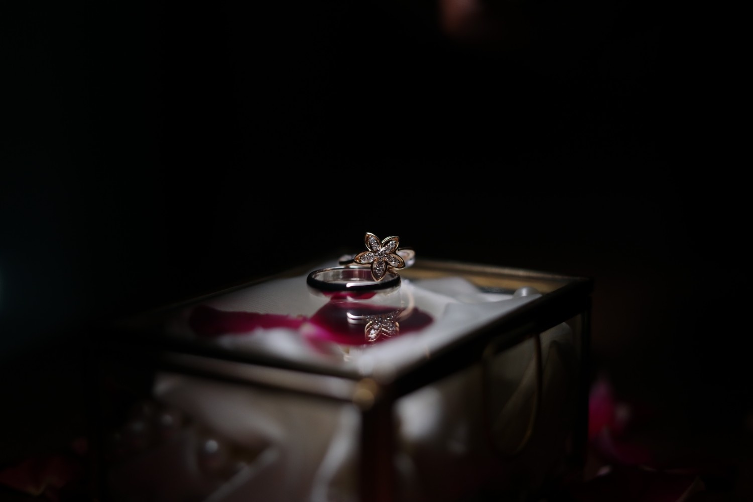 Anupam Digital Studio Wedding Shoot